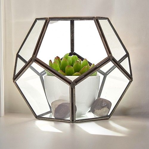 Glass Terrarium - Large Octagon - Image glass-terrarium--large-octagon-gter-05