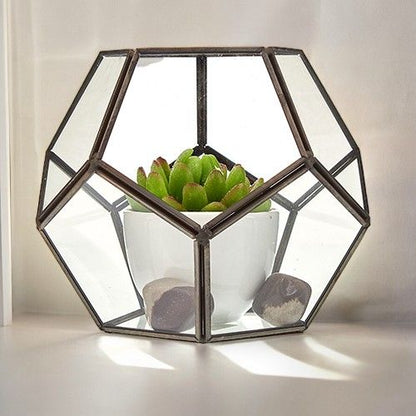 Glass Terrarium - Large Octagon - Image glass-terrarium--large-octagon-gter-05