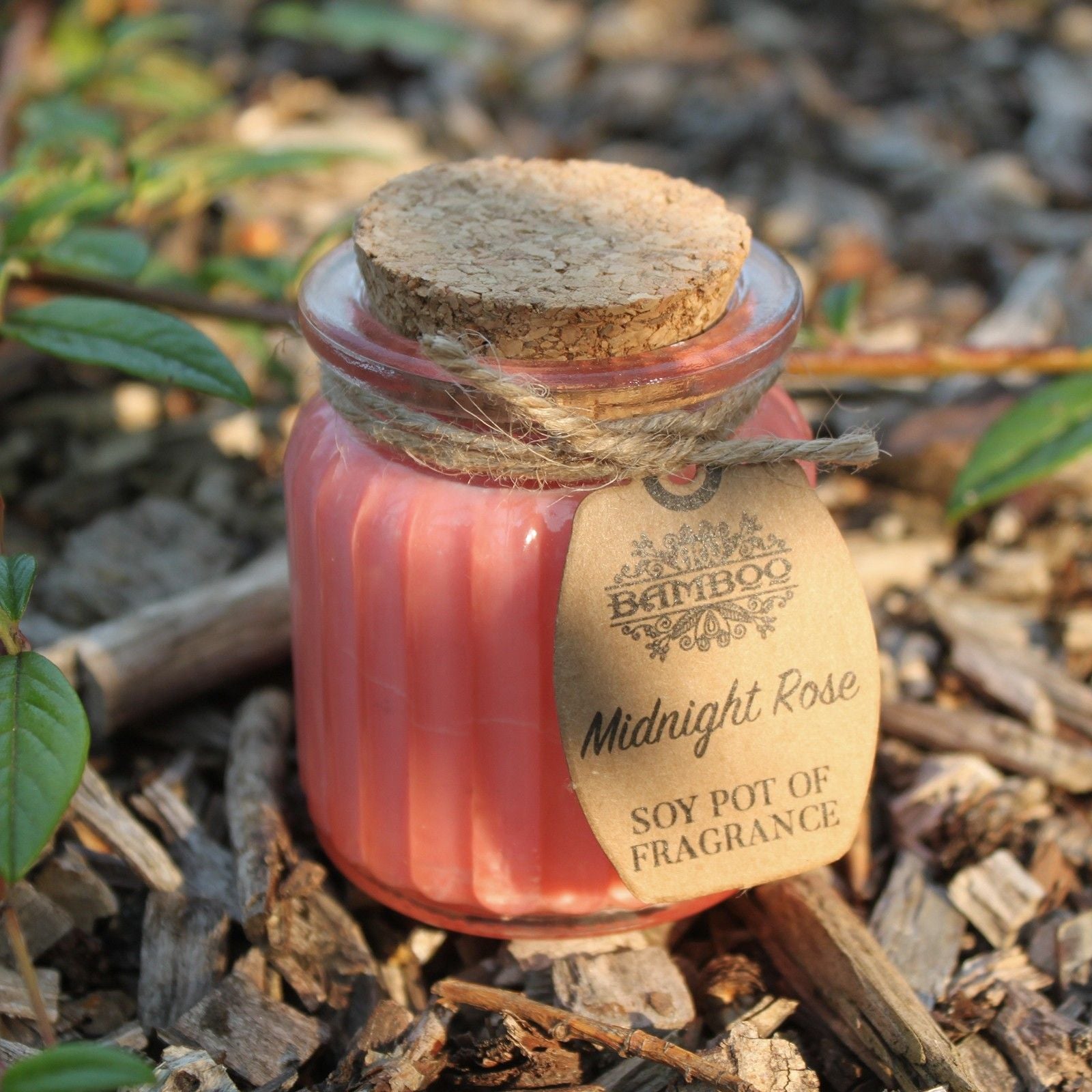 Midnight Rose Soy Pot of Fragrance Candles - Image midnight-rose-soy-pot-of-fragrance-candles-soyp-10