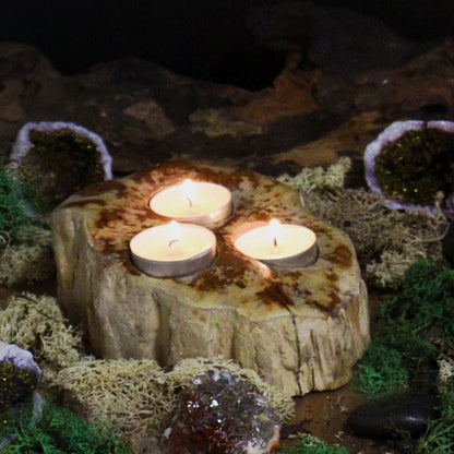 Petrified Wood Candle Holder - Double - Image petrified-wood-candle-holder--double-petw-03