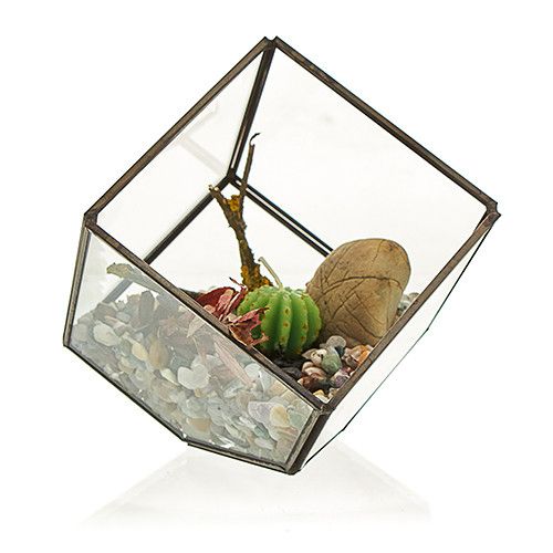 Glass Terrarium - Cube on Corner - Image glass-terrarium--cube-on-corner-gter-06