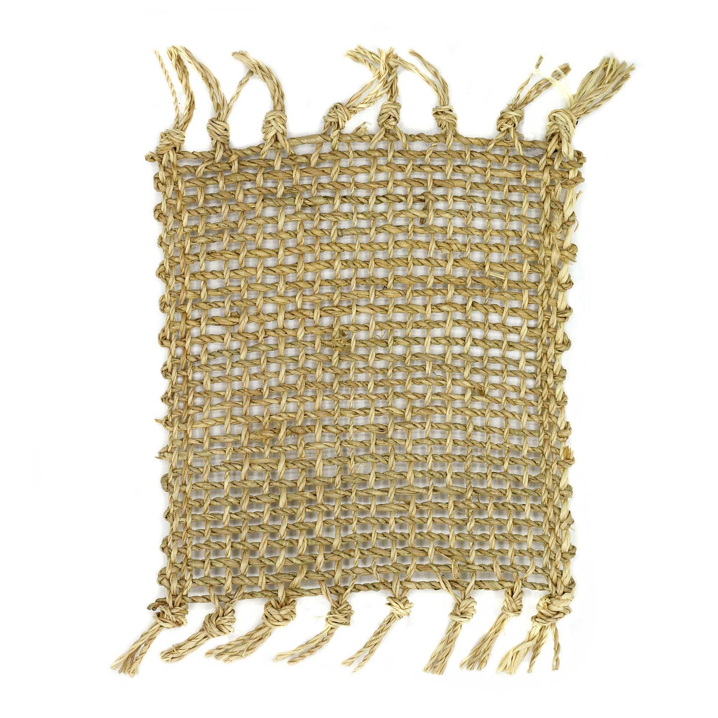 Set of 4 Seagrass Fringe Natural Coasters - Natural - Image set-of-4-seagrass-fringe-natural-coasters--natural-natpm-10