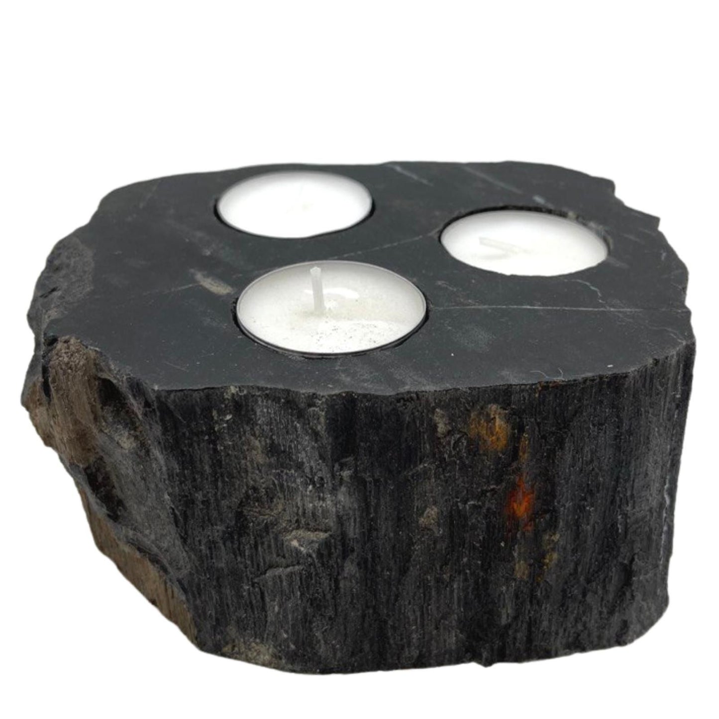 Petrified Wood Candle Holder - Triple - Image petrified-wood-candle-holder--triple-petw-04