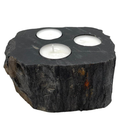 Petrified Wood Candle Holder - Triple - Image petrified-wood-candle-holder--triple-petw-04